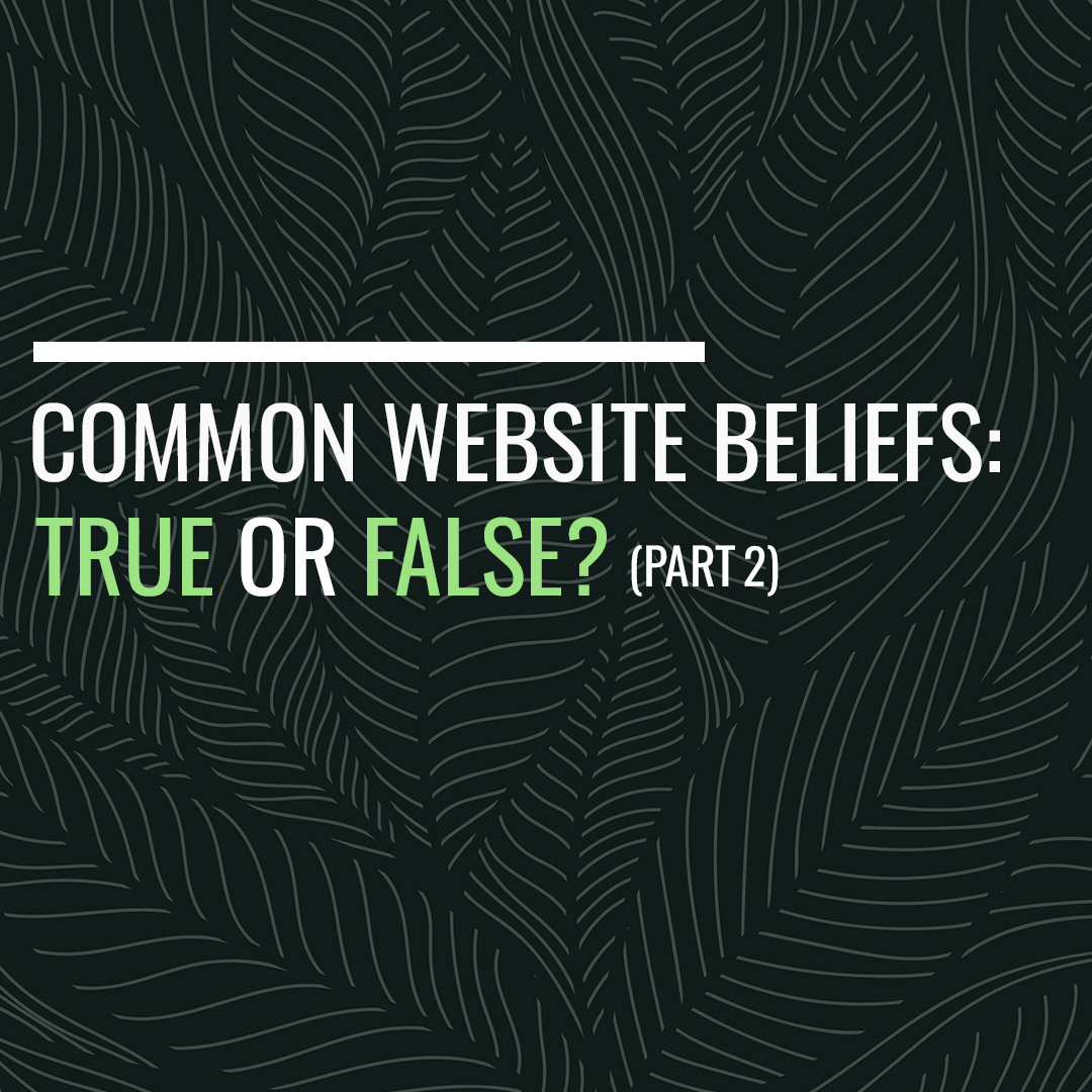 Common Website Beliefs: True or False (Part 2)